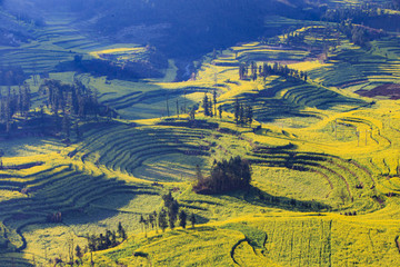 云南,旅游,風(fēng)光