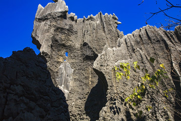 云南,石林,石頭,山洞,地質(zhì)公園