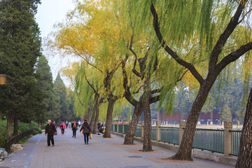 北京,北海公園,皇家園林,白塔,湖,游船,垂柳