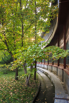 北京,北海公園,皇家園林,白塔,湖,游船,垂柳