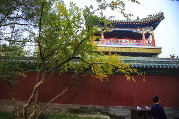 北京,北海公園,皇家園林,白塔,湖,游船,垂柳