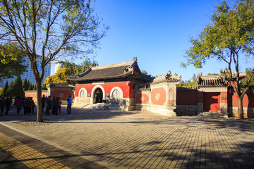 北京,奧林匹克公園,場館,鳥巢,水立方