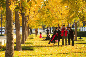 北京,奧林匹克公園,場館,鳥巢,水立方