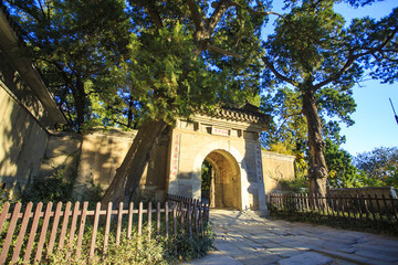 北京,香山公園,秋色,陽光,皇家園林,樹木,山
