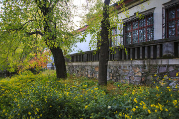 北京,香山公園,秋色,陽(yáng)光,皇家園林,樹木,山