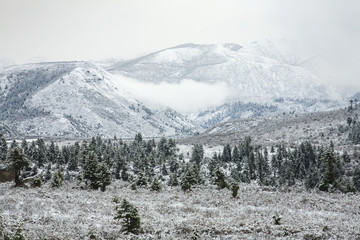 四川,黃龍,雪山,寒冷,村莊,戶外