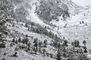 四川,黃龍,雪山,寒冷,村莊,戶外
