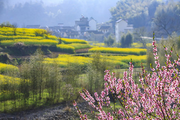 安徽,家朋,春天,春色,徽居