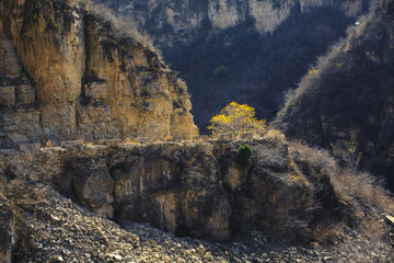 安徽,黟縣,古村,屏山