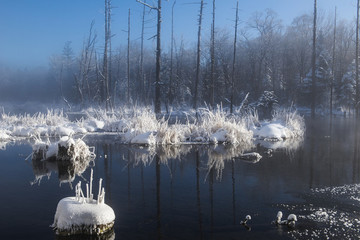 林海,雪原,大雪,晨霧,霧凇,潔白,純凈,童話,夢(mèng)幻,寒冷