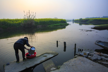 江蘇,興化,水鄉(xiāng),鄉(xiāng)村,早晨,油菜花,春天