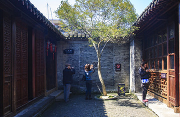 江蘇,姜堰市,溱湖濕地,公園,生態(tài),自然,動(dòng)物