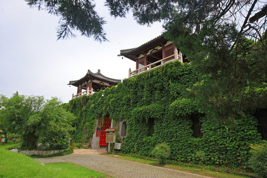 江蘇唐城遺址