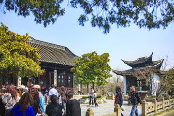 江蘇,揚州,瘦西湖,春天,旅游
