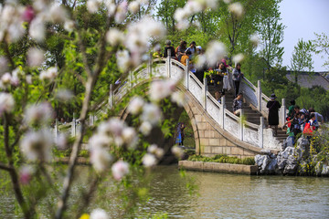 江蘇,揚(yáng)州,瘦西湖,春天,旅游