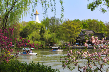 江蘇,揚州,瘦西湖,春天,旅游