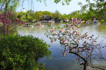 江蘇,揚州,瘦西湖,春天,旅游
