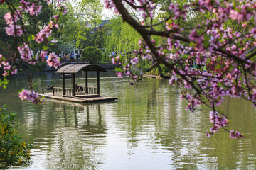 江蘇,揚(yáng)州,瘦西湖,春天,旅游