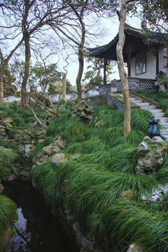 江蘇,泰州,喬園景區(qū),園林,古建筑,傳統(tǒng),格局,水榭樓臺(tái)
