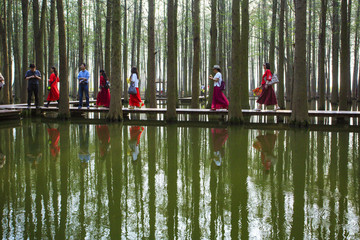 江蘇,泰州,李中水上森林,景區(qū),二月蘭,春天,白鷺,樹(shù)林