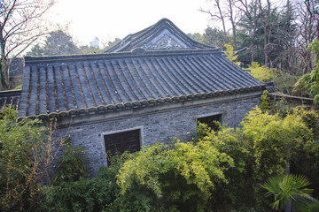 江蘇,泰州,李中水上森林,景區(qū),二月蘭,春天,白鷺,樹林