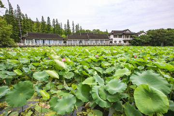 江蘇,蘇州,城市,高樓,道路