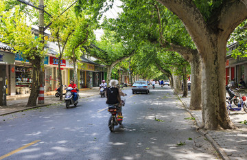 江蘇,蘇州,城市,高樓,道路