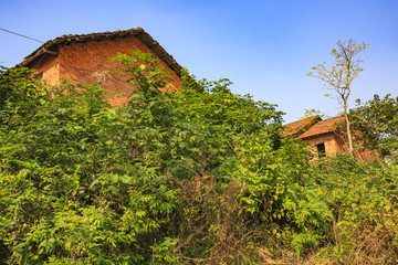江西,南昌縣,鄉(xiāng)村,小河,紅房子,田園,水稻,稻田,土地,道路,村莊,貧窮