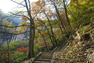 河南,林州,太行大峽谷,太行山,景區(qū),王相巖,豬叫石,峽谷,桃花谷,巖石