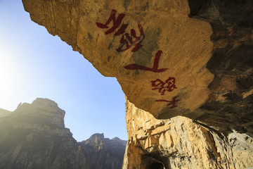 河北,承德,塞罕壩,壩上,草原,原野,戶外,自然,秋色