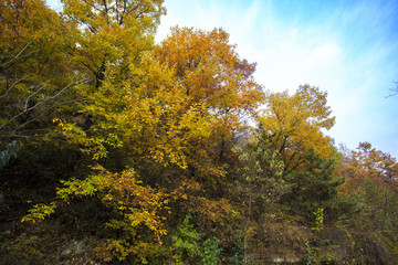 河南,林州,太行山,石板巖,峽谷,秋色,山
