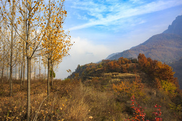 河南,林州,太行山,石板巖,峽谷,秋色,山