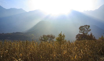 河南,林州,太行山,石板巖,峽谷,秋色,山