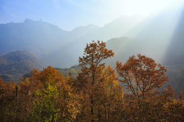 河南,林州,太行山,石板巖,峽谷,秋色,山