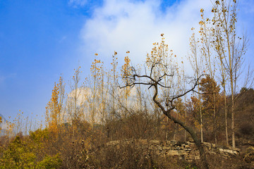 河南,林州,太行山,石板巖,峽谷,秋色,山