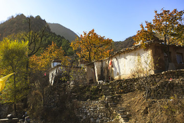 河南,林州,太行山,石板巖,峽谷,秋色,山
