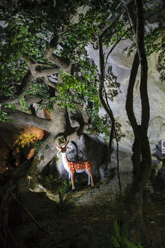 浙江,麗水市,遂昌金礦,國家礦山公園,黃金,礦藏,山洞
