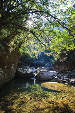 浙江,麗水,遂昌,千佛山,彌勒佛,山,水
