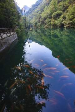 浙江,麗水,遂昌,千佛山,彌勒佛,山,水