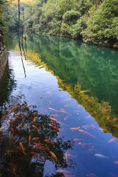 浙江,麗水,遂昌,千佛山,彌勒佛,山,水