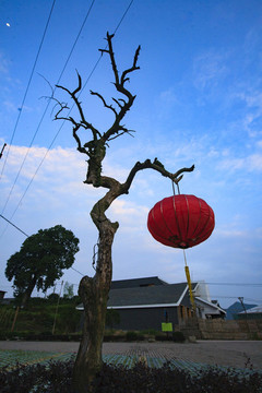 浙江,麗水,遂昌,南尖巖,景區(qū),森林,云海,山村