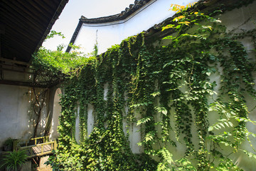 河北,承德,塞罕壩,壩上,草原,原野,戶外,自然,秋色
