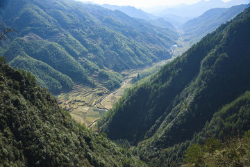 浙江,麗水,遂昌,神龍谷,神龍瀑,景區(qū),山,森林