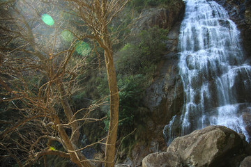 浙江,麗水,遂昌,神龍谷,神龍瀑,景區(qū),山,森林