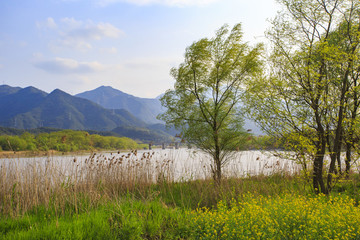 浙江,臺州,臨海,三江濕地公園,生態(tài),自然,道路,綠色,春天,青草
