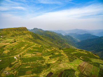 浙江,臺州,臨海,蘭田山,茶園,山村,山谷