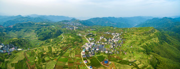 浙江,臺州,臨海,蘭田山,茶園,山村,山谷