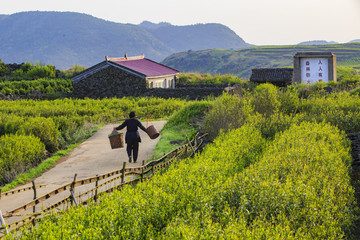 浙江,臺(tái)州,臨海,蘭田山,茶園,山村,山谷