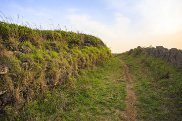 浙江,臺州,臨海,蘭田山,茶園,山村,山谷