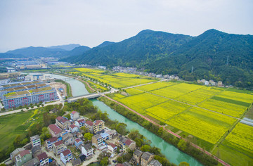 浙江,臺州,臨海,小溪鎮(zhèn),油菜花,小溪,稻田,春色,春天